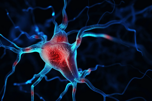 Why magnesium alone is not enough